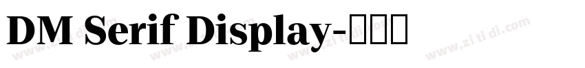 DM Serif Display字体转换